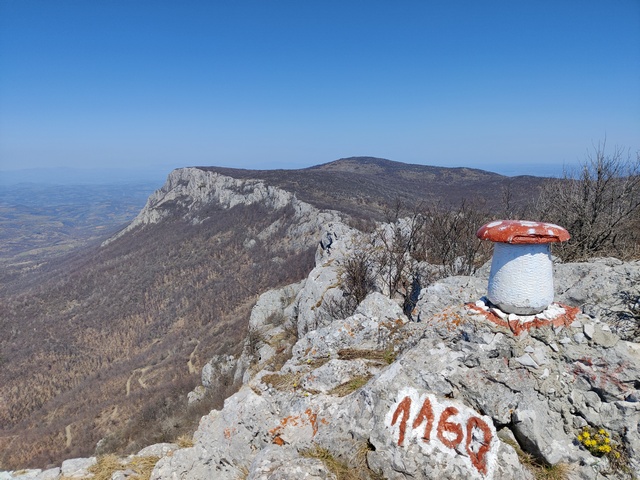 Tupižnica - Ledenički vrh (1160 m.)